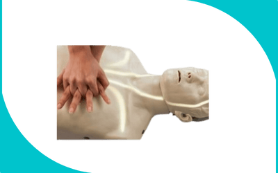 Brayden classique (200 x 500 px)